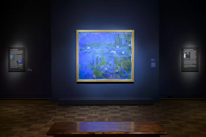 Why Restore Waterlilies Now?